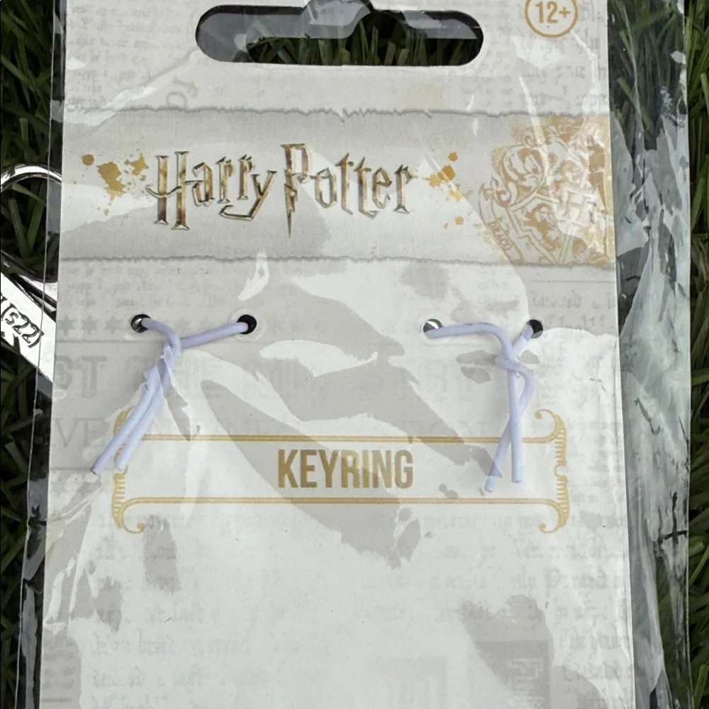 Harry Potter Ravenclaw Silver Keyring